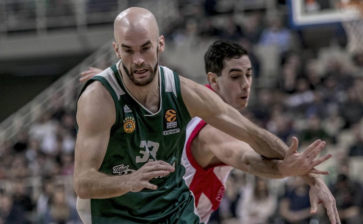 Nick Calathes, con la camiseta de Panathinaikos. 