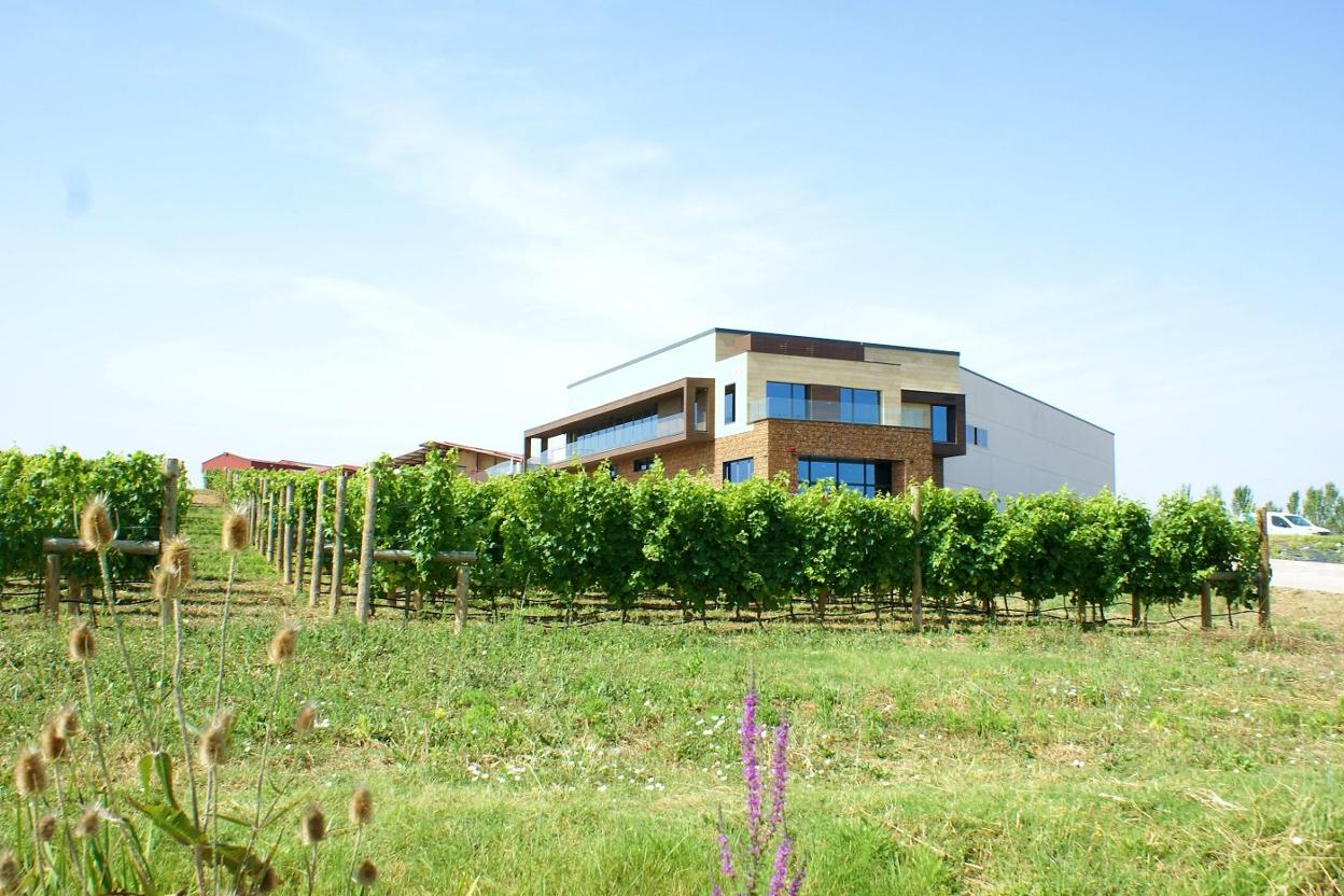 Vista de la bodega Zinio en Uruñuela, con uno de sus viñedos en primer plano. 