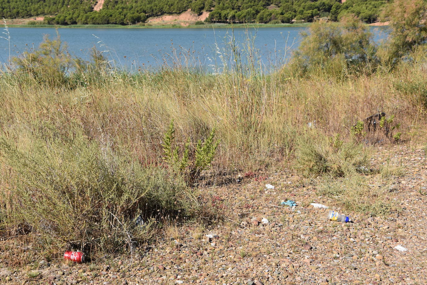 El Consejo de la Juventud de Calahorra organizó ayer el 'Reto verde' para limpiar el entorno del pantano del Perdiguero