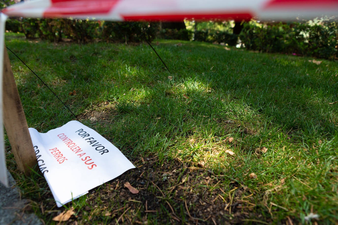 Fotos: El cuidado de los jardines de Logroño, en tela de juicio