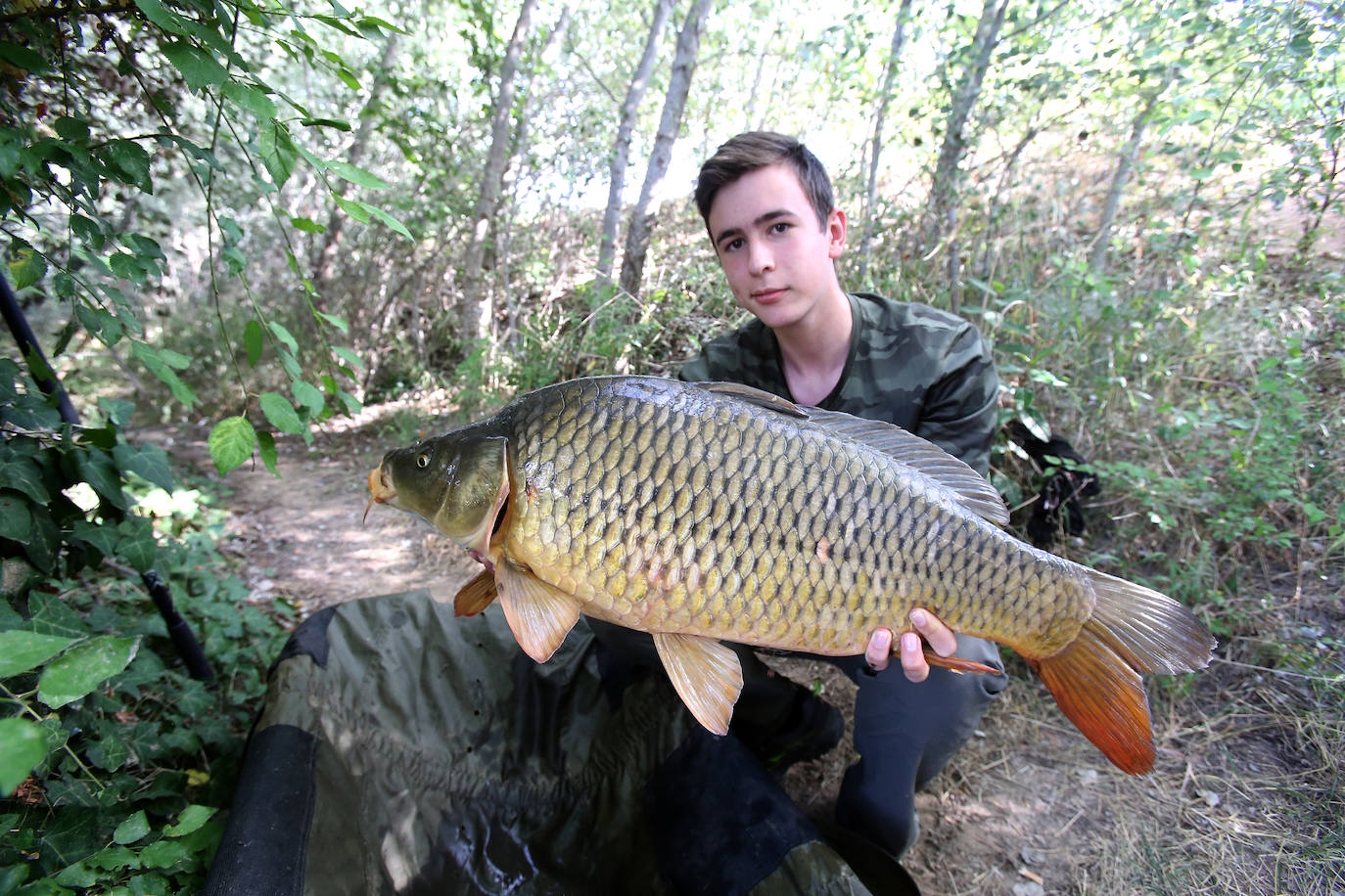 Pesca en el Ebro