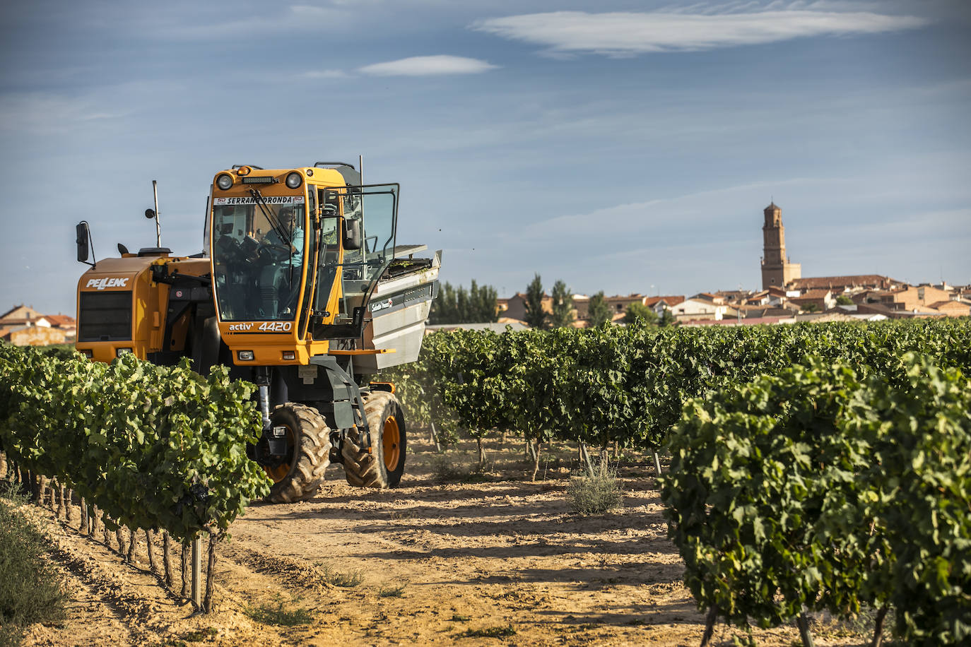 El coronavirus marca la campaña de este año en Rioja