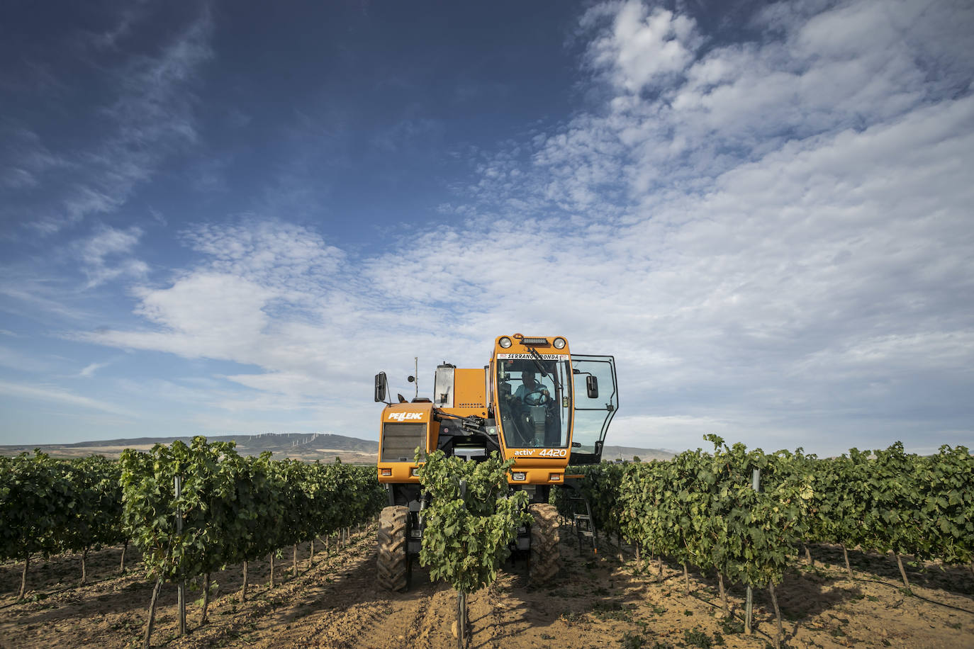 El coronavirus marca la campaña de este año en Rioja