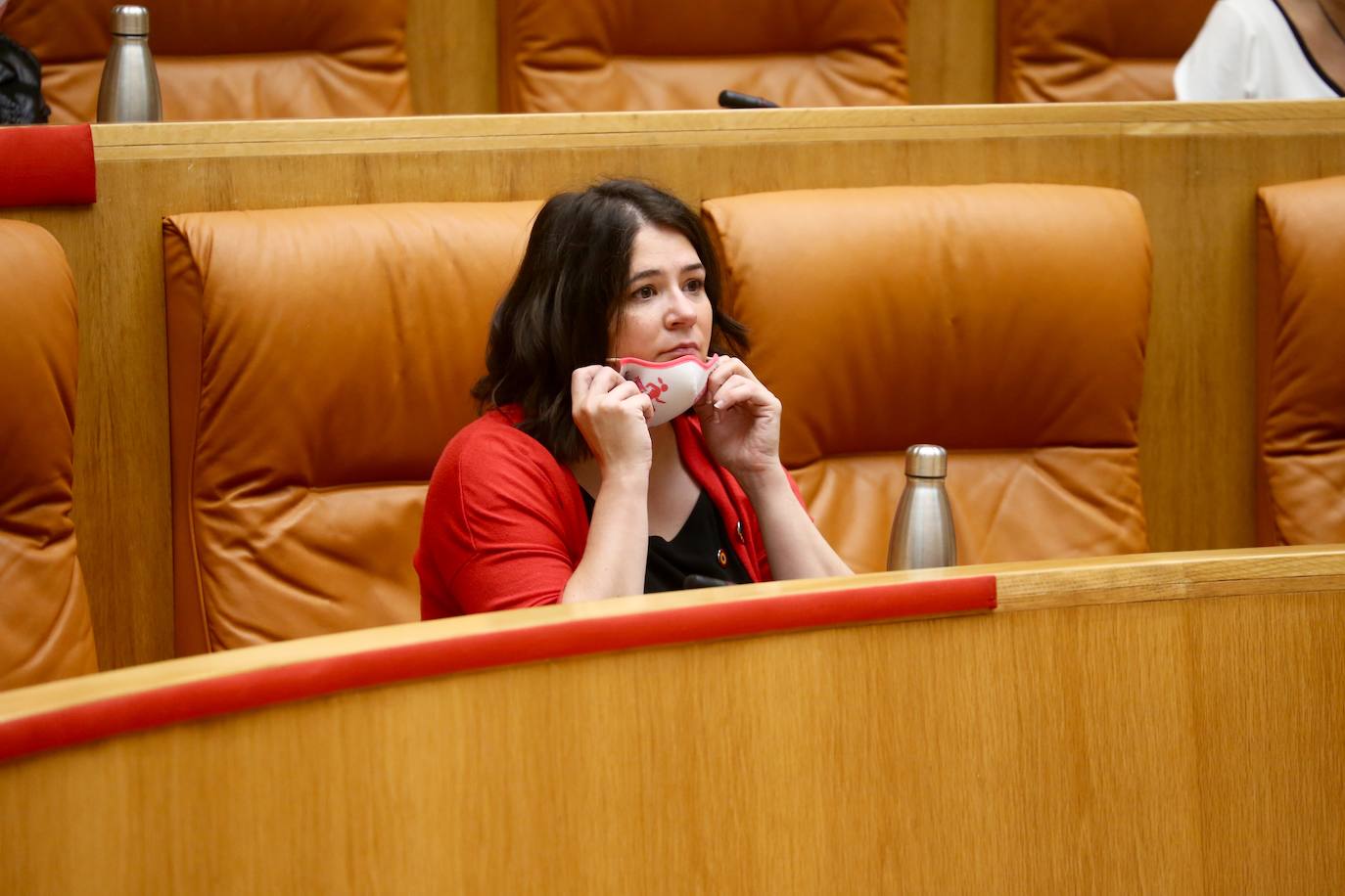 El COVID-19 ha sido el tema principal del Pleno del Parlamento del viernes. 