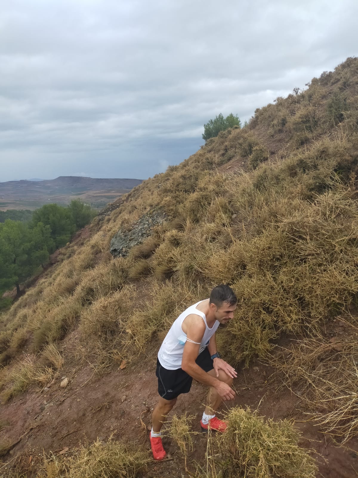 La carrera de montaña se ha celebrado durante el mediodía de este sábado