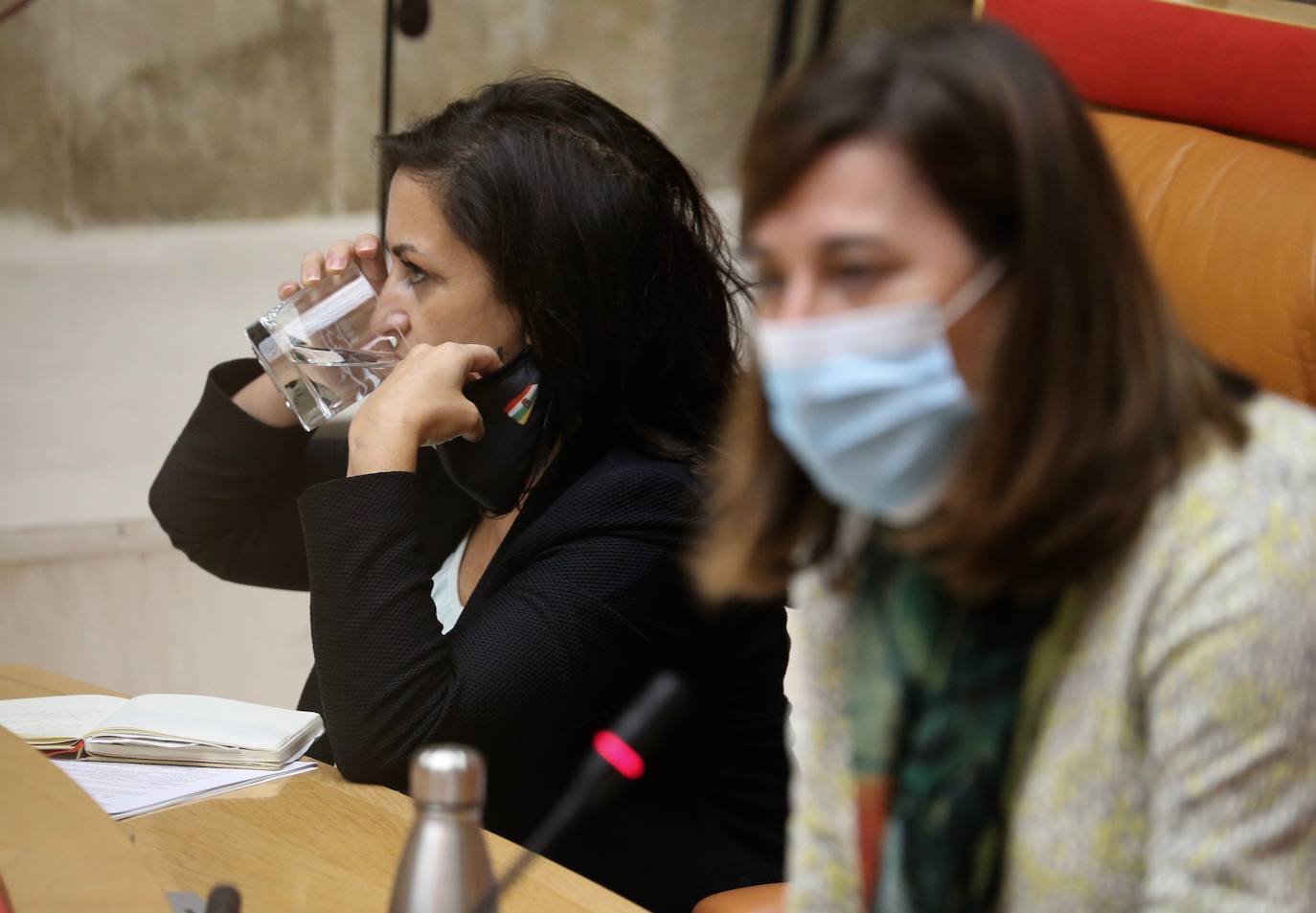 Celebración del pleno de septiembre en el Parlamento riojano.