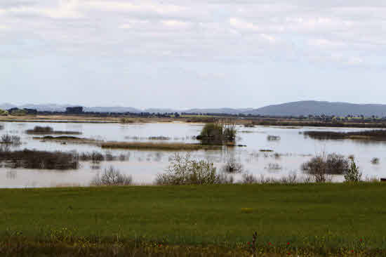 Parque Nacional de Las Tablas de Daimiel.