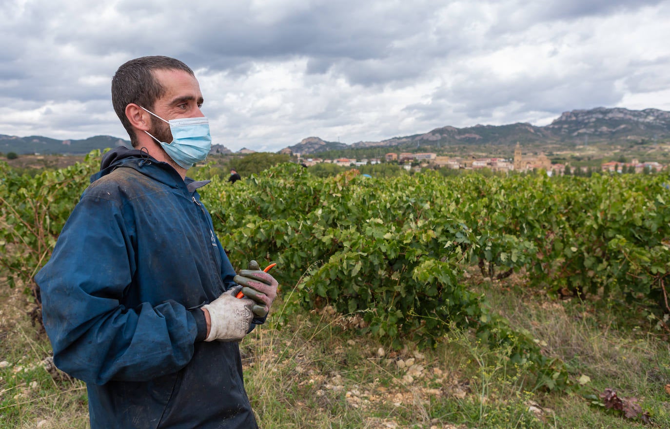 El COVID-19 ha obligado a extremar las medidas de precaución para evitar contagios