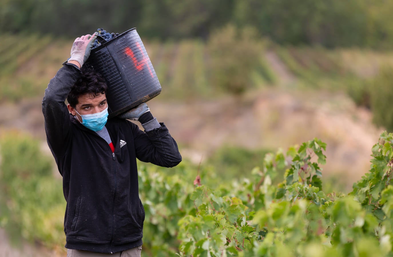 El COVID-19 ha obligado a extremar las medidas de precaución para evitar contagios