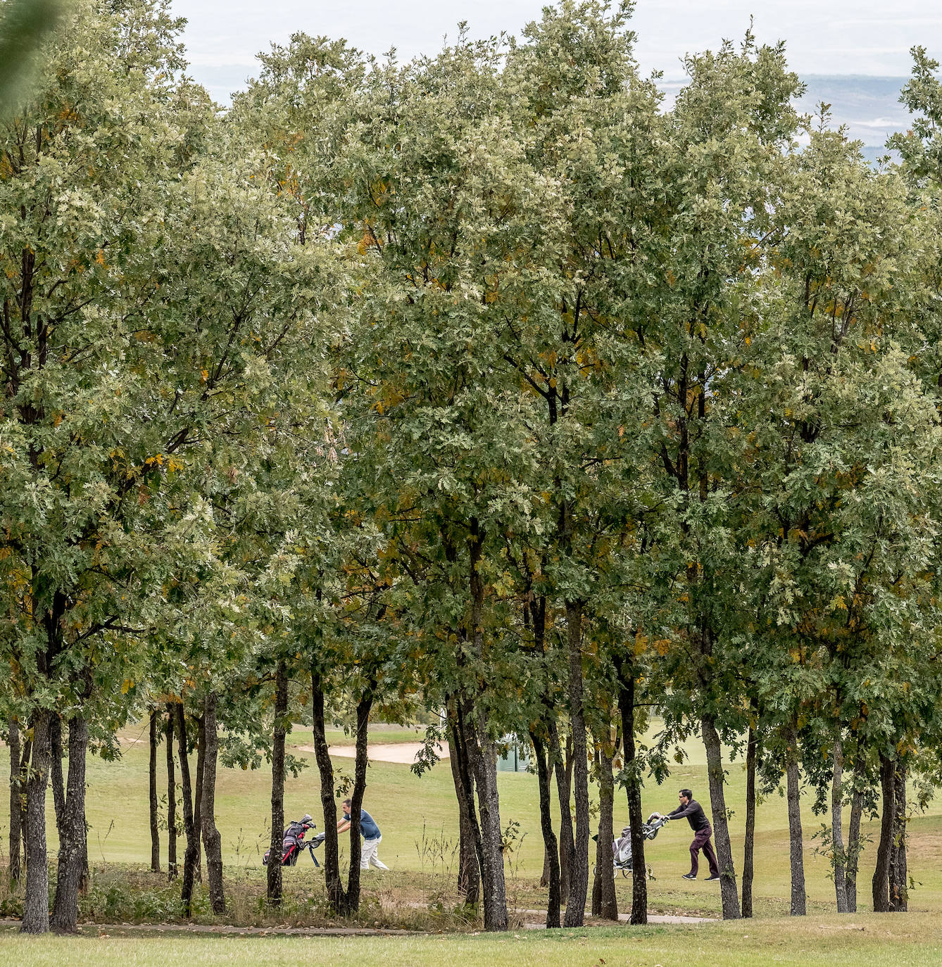 La cita tuvo lugar el pasado sábado en el campo de Sojuela