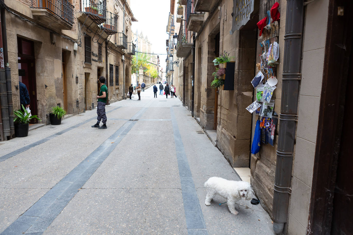 Fotos: Los adelantados de Navarra