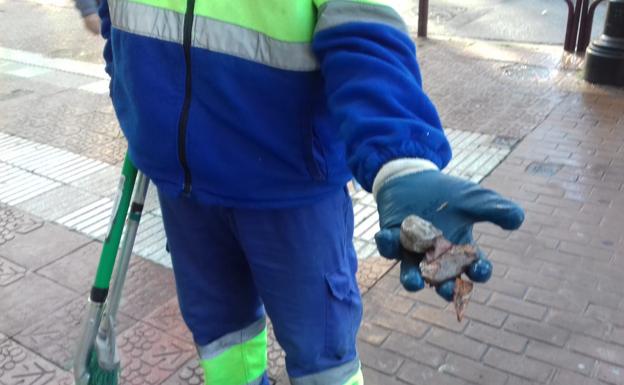 Algunas de las piedras que los violentos lanzaron este sábado en Logroño. 