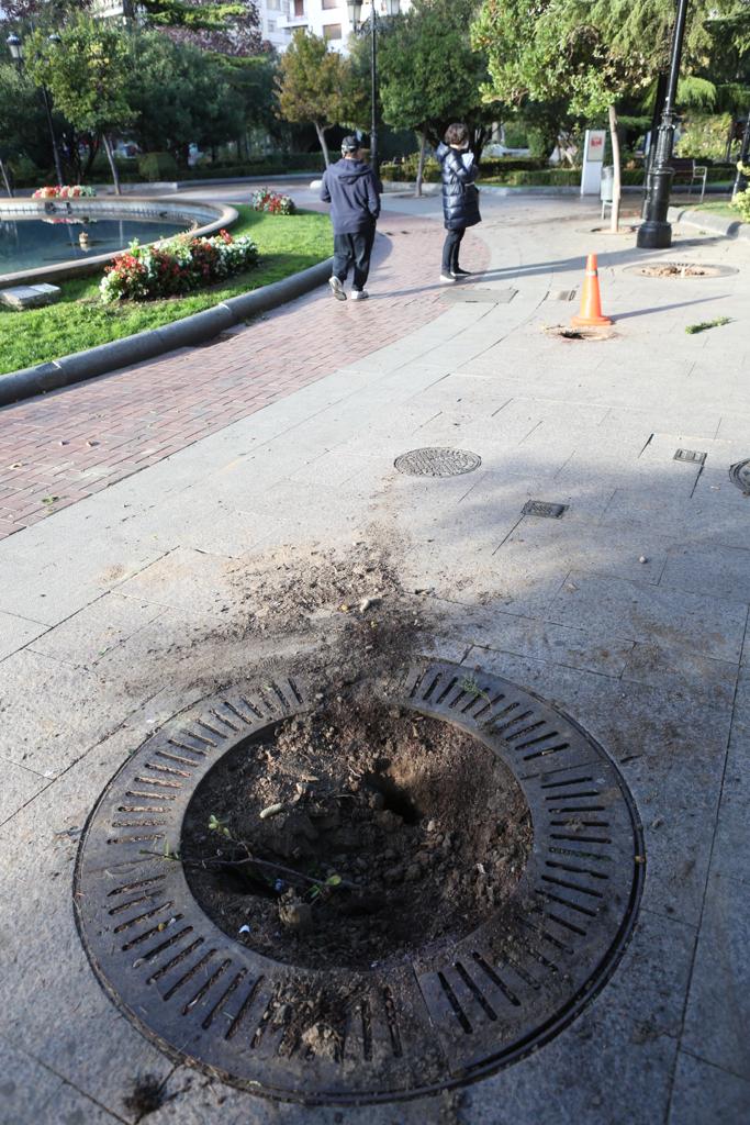 Fotos: El centro de Logroño despiera incrédulo tras la noche de destrozos y saqueos