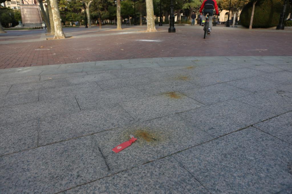 Fotos: El centro de Logroño despiera incrédulo tras la noche de destrozos y saqueos