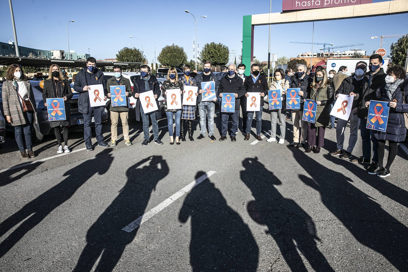 La marcha se ha iniciado pasadas las once de la mañana de este domingo y ha transitado por varias calles de la capital riojana