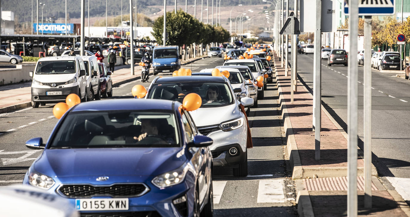 La marcha se ha iniciado pasadas las once de la mañana de este domingo y ha transitado por varias calles de la capital riojana