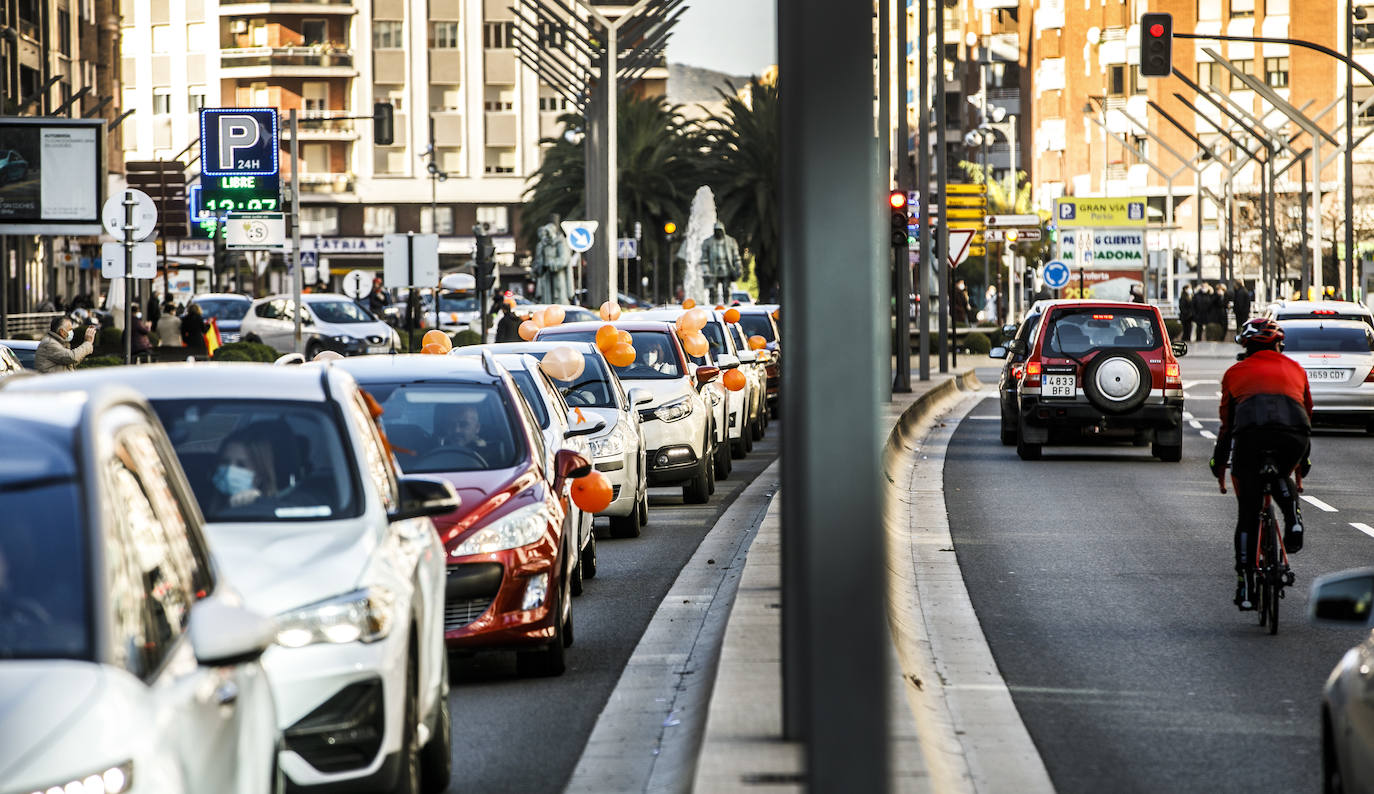 La marcha se ha iniciado pasadas las once de la mañana de este domingo y ha transitado por varias calles de la capital riojana