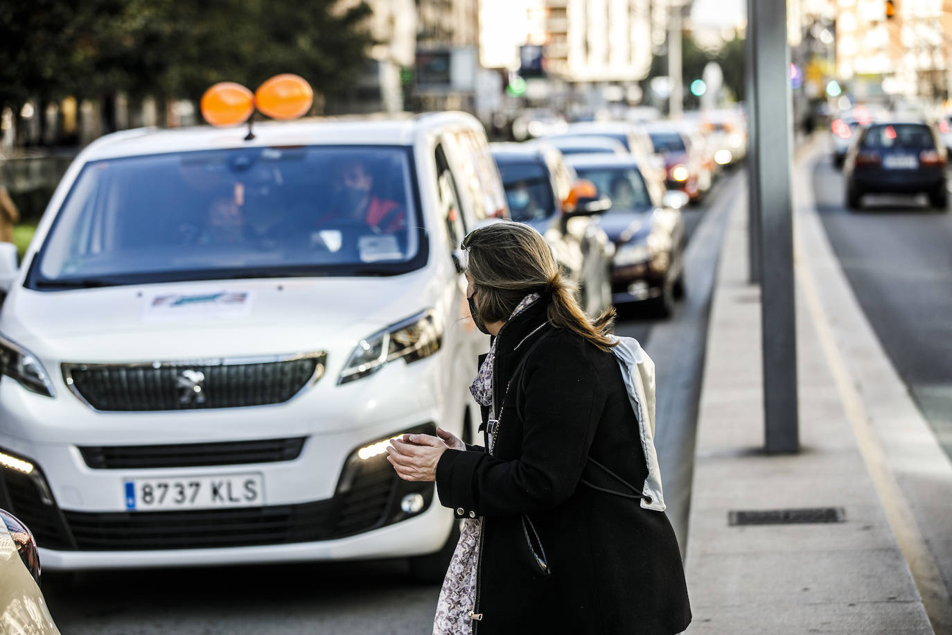 La marcha se ha iniciado pasadas las once de la mañana de este domingo y ha transitado por varias calles de la capital riojana