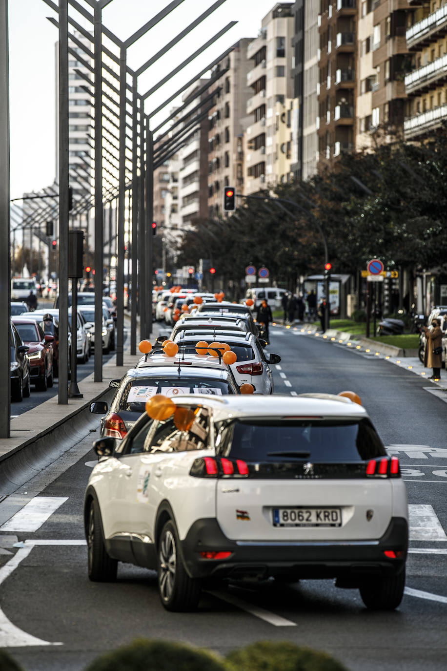 La marcha se ha iniciado pasadas las once de la mañana de este domingo y ha transitado por varias calles de la capital riojana