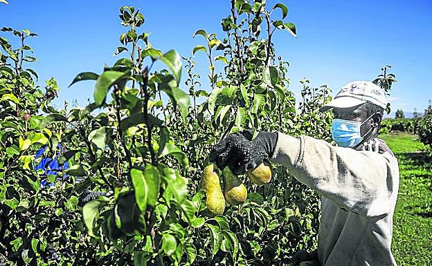 Los productos de proximidad han ganado terreno a los importados. 