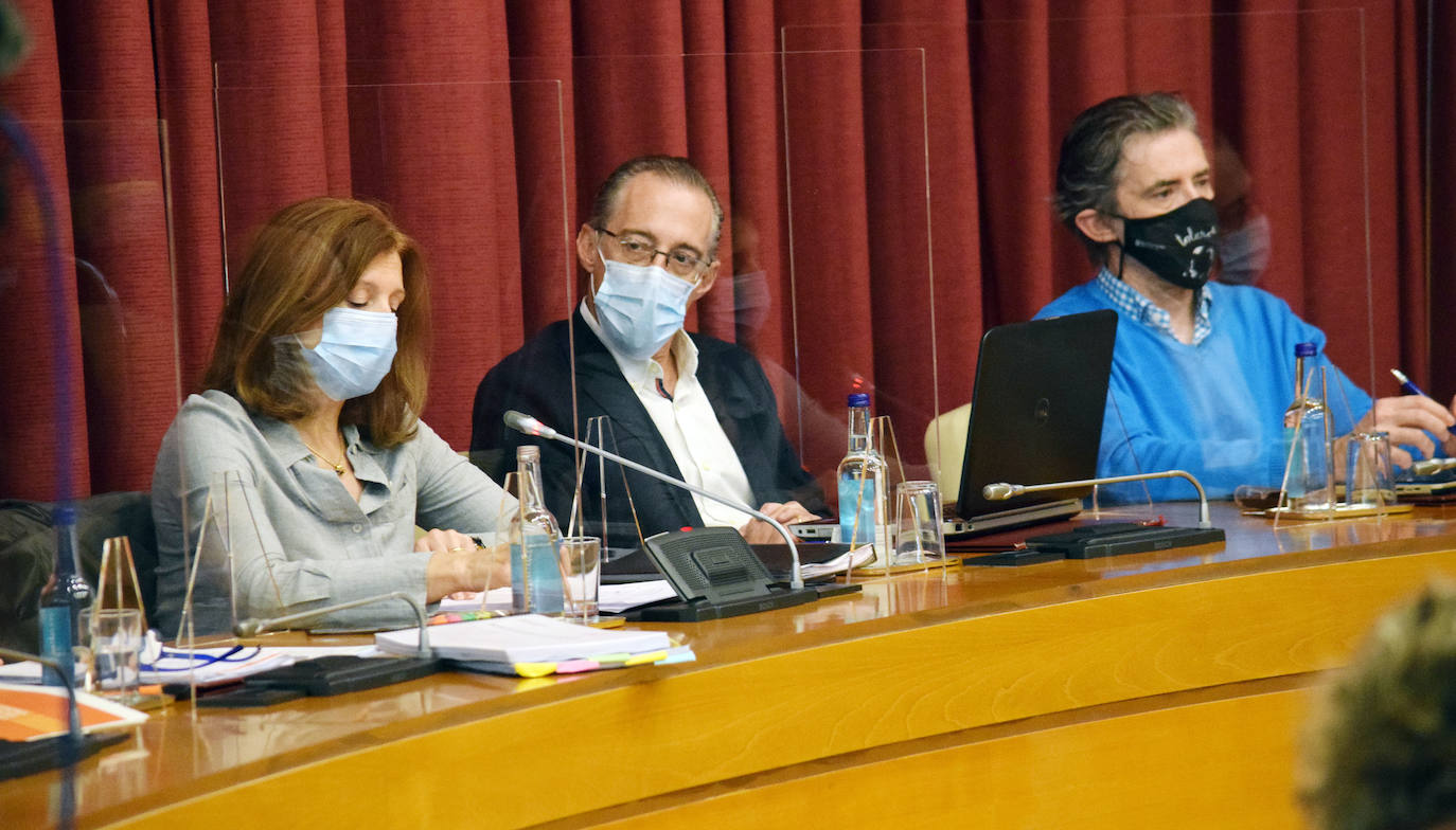 Celebración del pleno extraordinario para debatir el presupuesto municipal 2021.