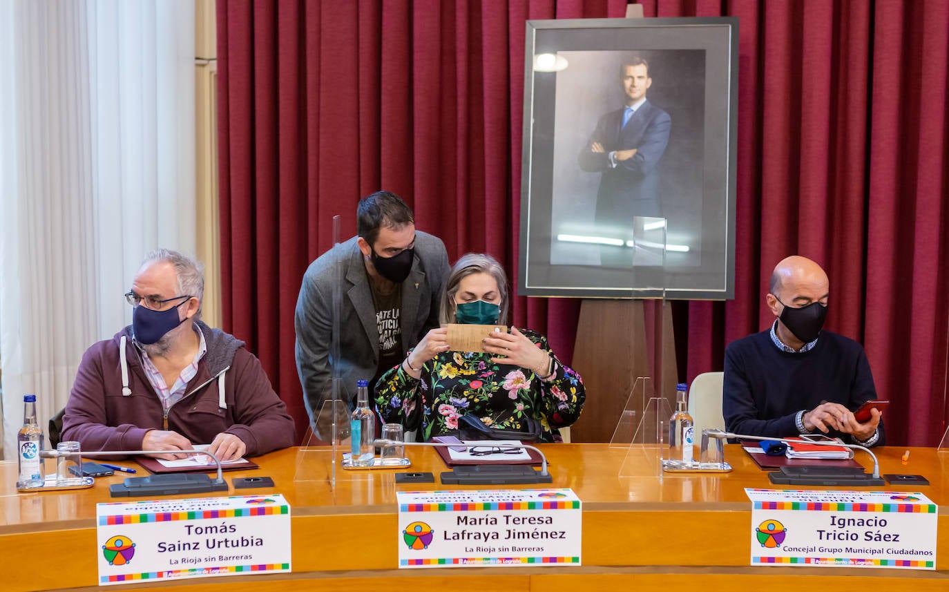 Celebración del pleno con motivo del Día de la Discapacidad.