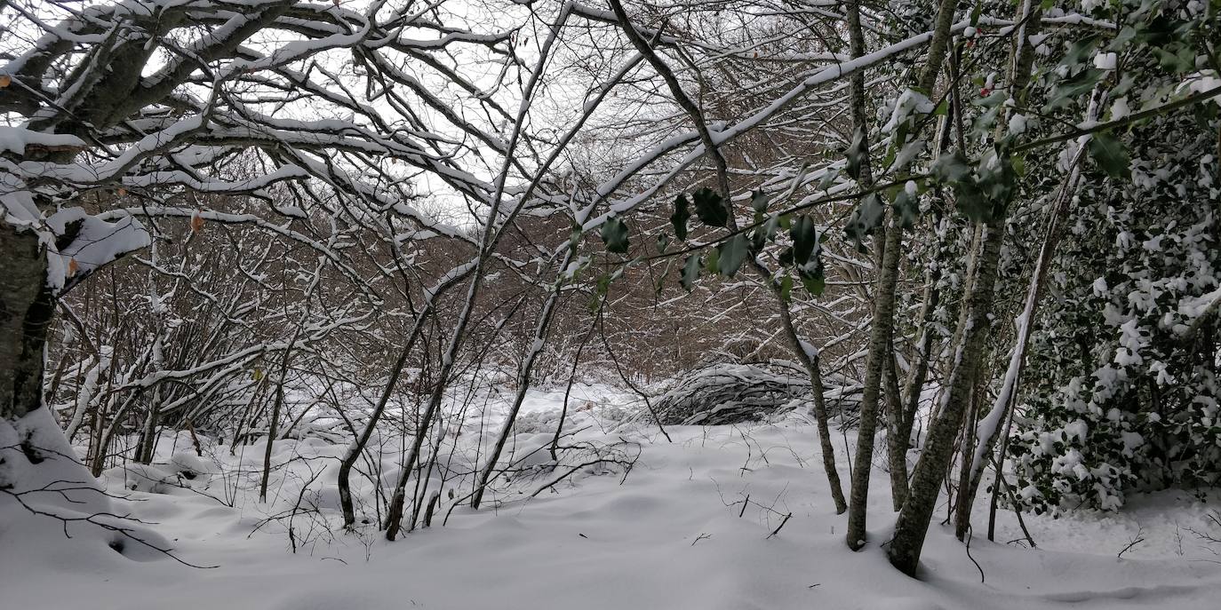 Están al nordeste de la cumbre y la nieve se acumula ahí a causa del viento