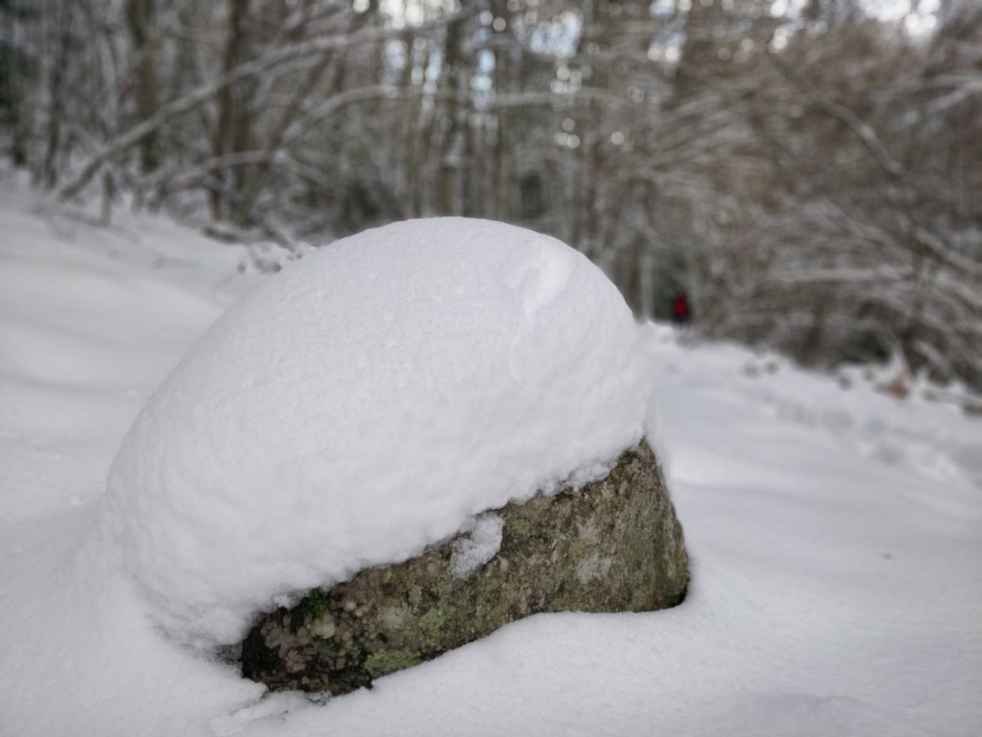 Están al nordeste de la cumbre y la nieve se acumula ahí a causa del viento