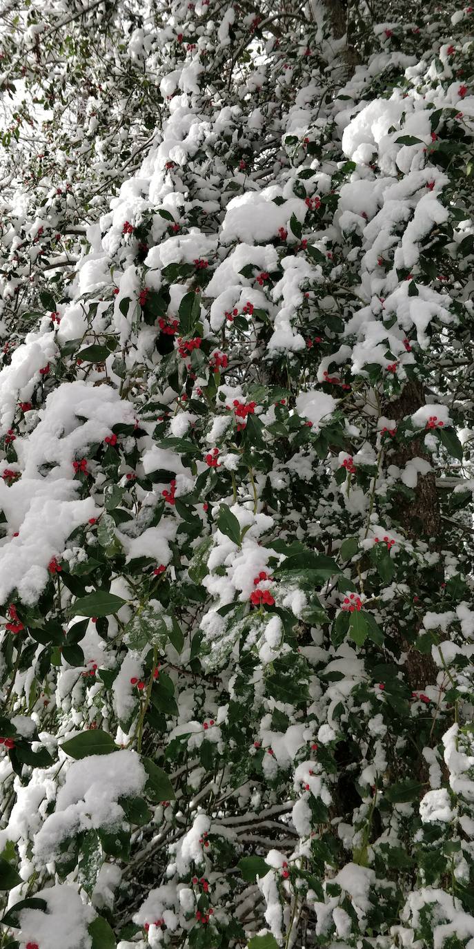 Están al nordeste de la cumbre y la nieve se acumula ahí a causa del viento