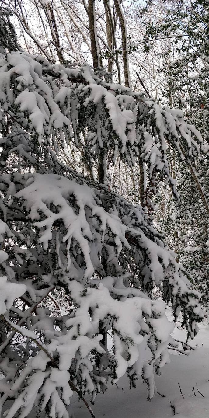 Están al nordeste de la cumbre y la nieve se acumula ahí a causa del viento