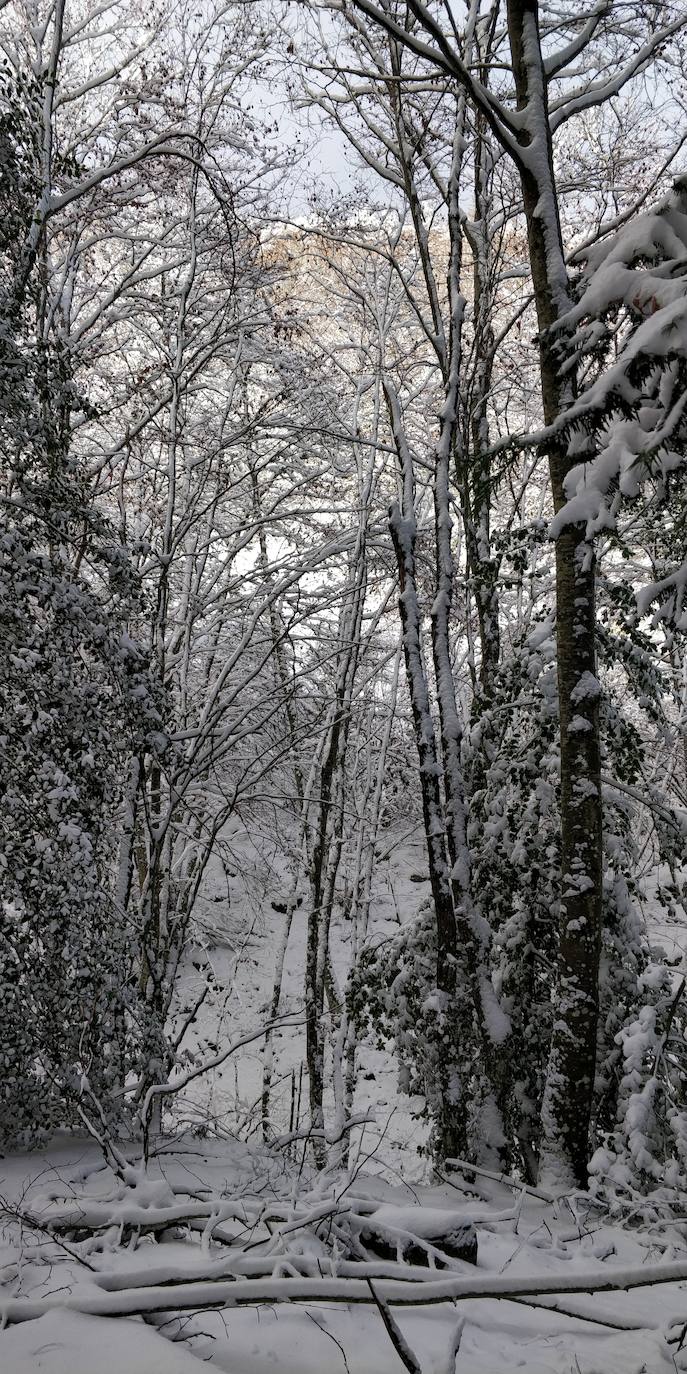 Están al nordeste de la cumbre y la nieve se acumula ahí a causa del viento