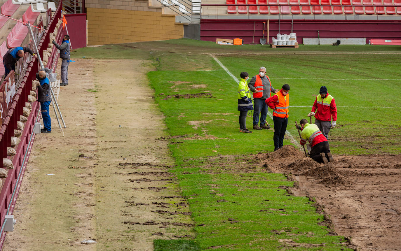 Inicio de las obras de renovación del césped en Las Gaunas.