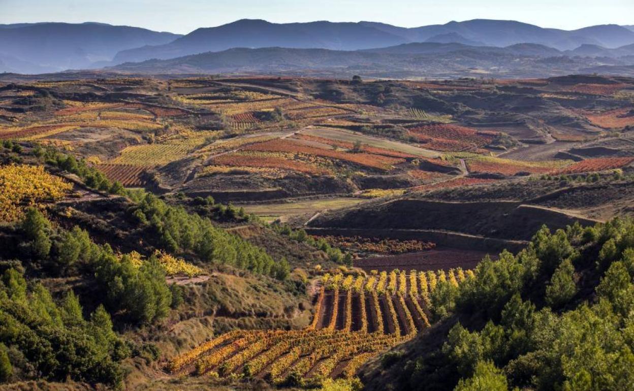 La Rioja aspira a convertirse en una 'enorregión' «verde y digital ...