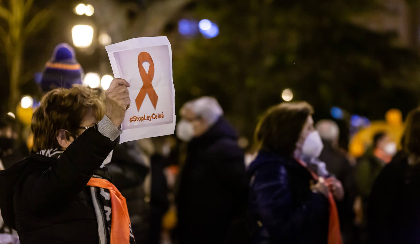 Unas 400 personas se concentran en el Paseo del Espolón para mostrar su rechazo hacia la 'Ley Celaá'.