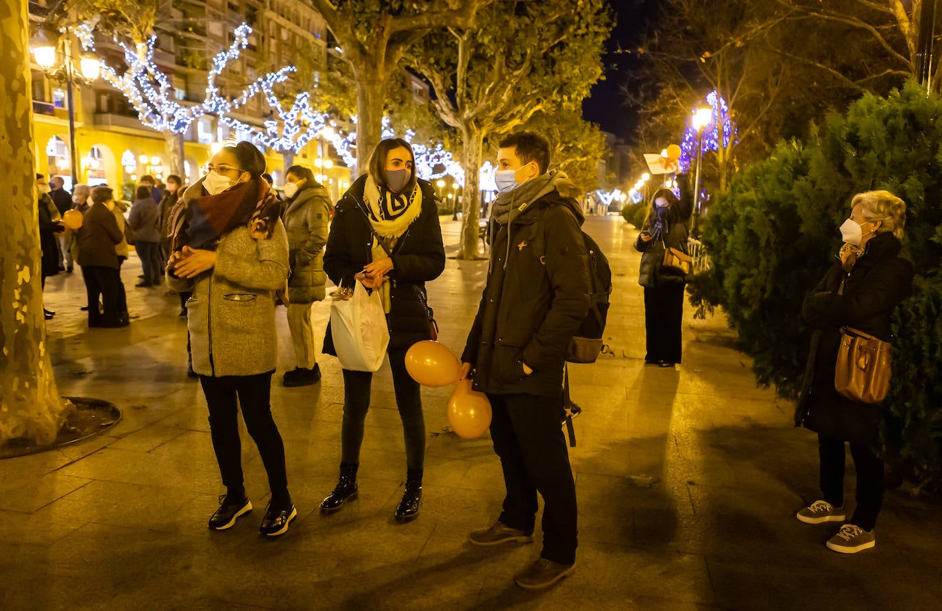 Unas 400 personas se concentran en el Paseo del Espolón para mostrar su rechazo hacia la 'Ley Celaá'.