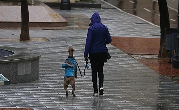 Los casos activos suben de nuevo en Logroño