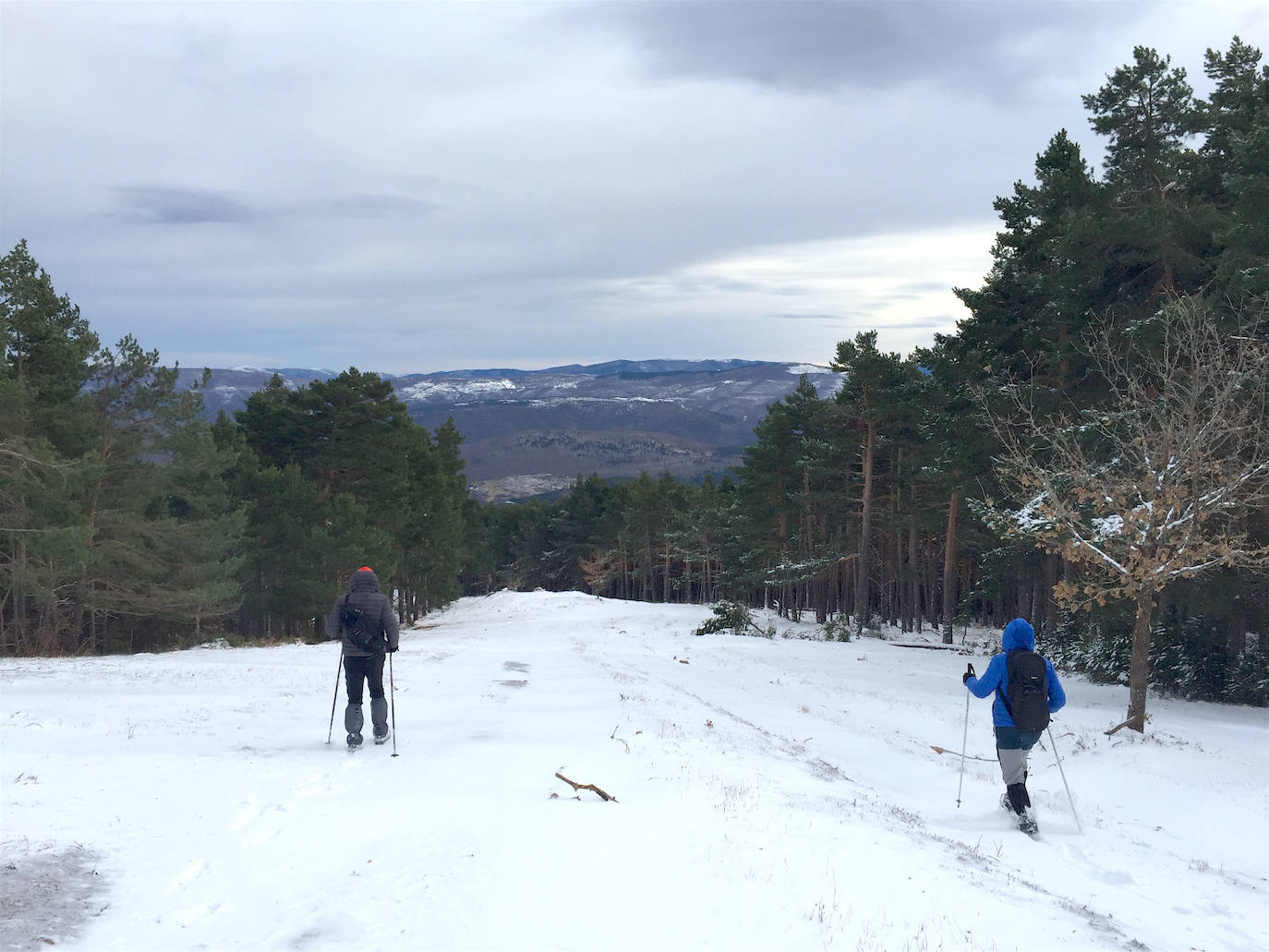 Fotos: La nieve cubre el monte de la Agenzana, en El Rasillo