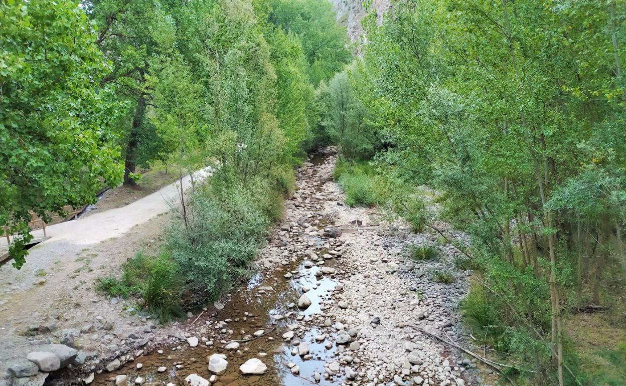 El cauce del Leza visto desde Puente Laidiez, en Ribafrecha, con mucha menos agua que hace unos días. En detalle, peces muertos. 