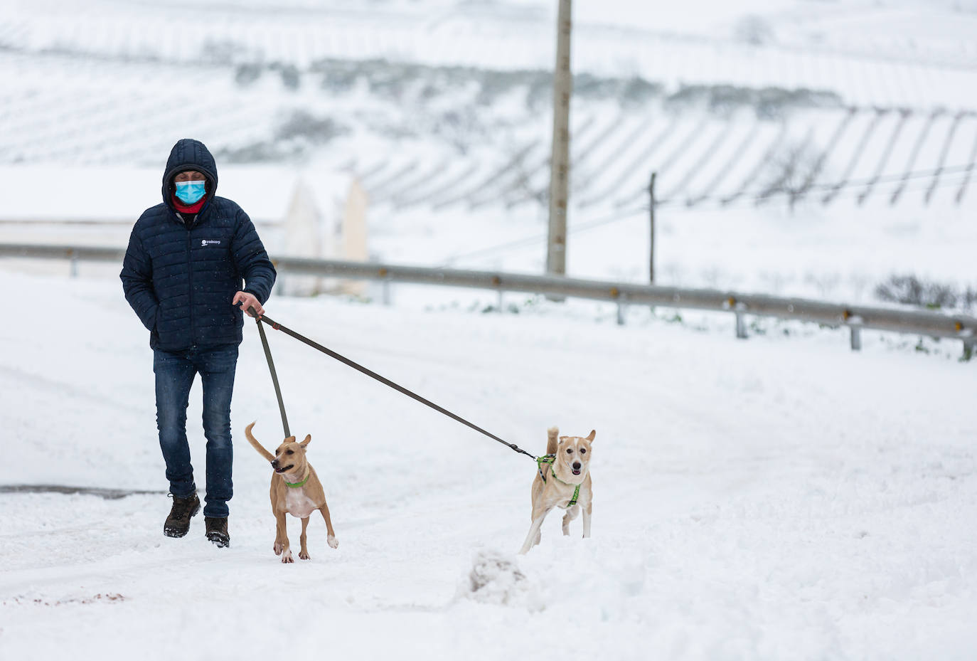 Municipios como Uruñuela, Najera, Sotés, Ventosa o Navarrete han recibido a la nieve en este 2 de enero