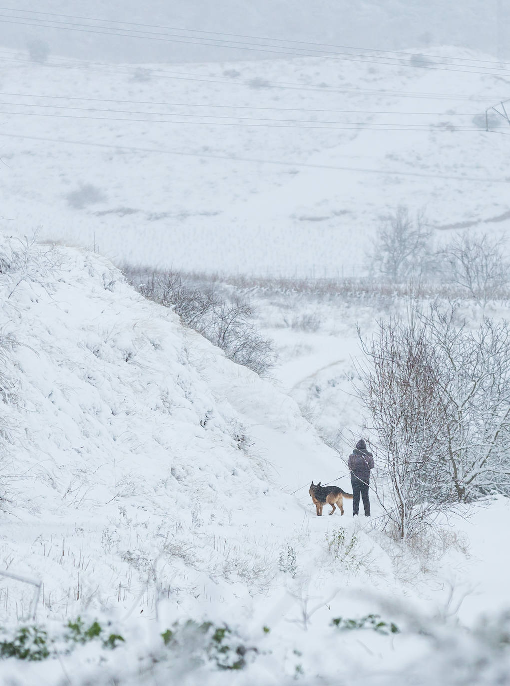 Municipios como Uruñuela, Najera, Sotés, Ventosa o Navarrete han recibido a la nieve en este 2 de enero