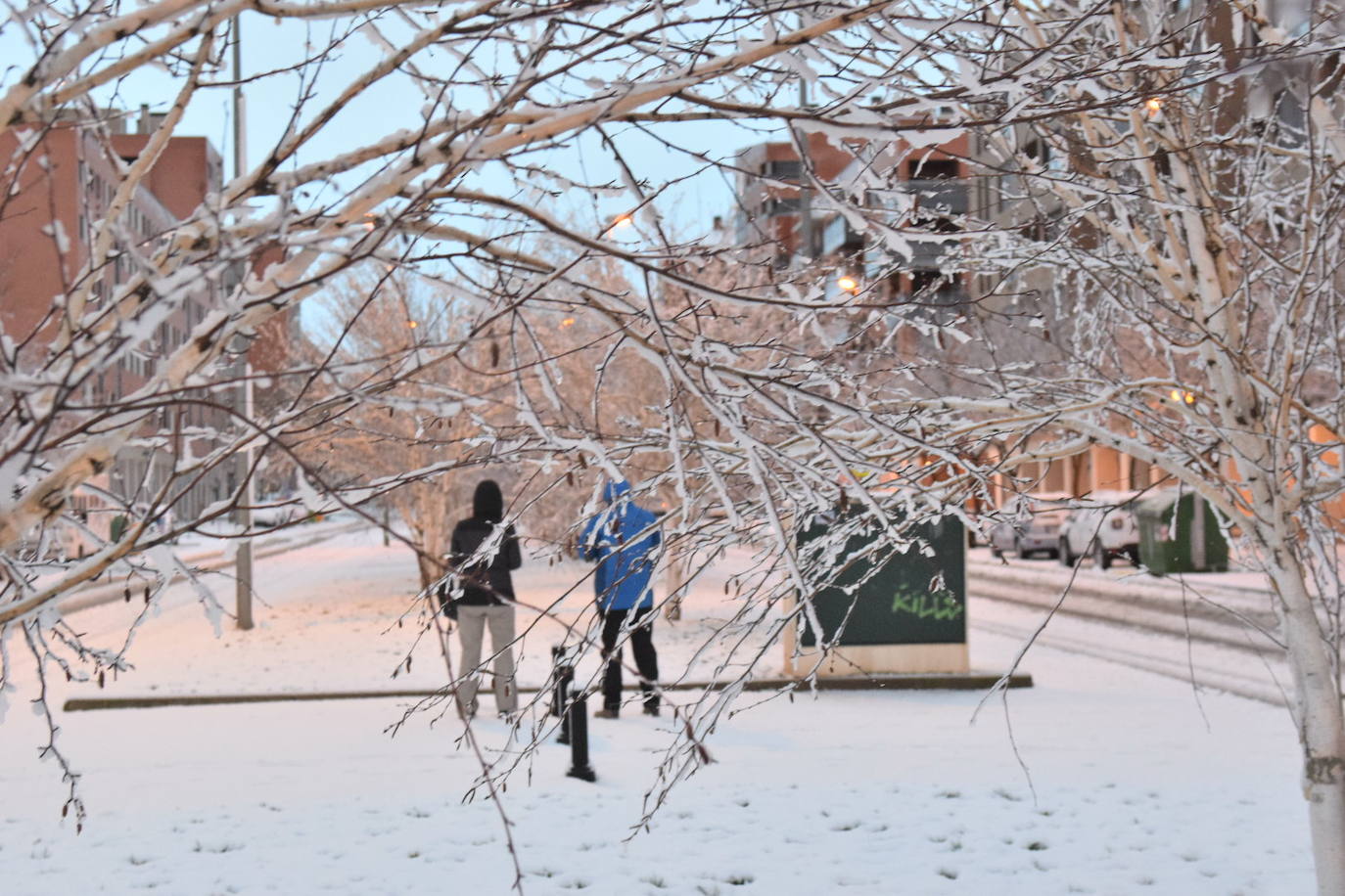 La capital riojana ha amanecido este sábado cubierta por una gruesa capa de nieve. 