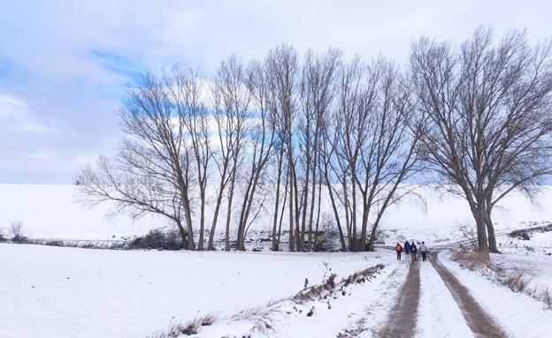 Imagen principal - La Rioja se mantiene en alerta en pleno aviso por bajas temperaturas y nuevas nevadas
