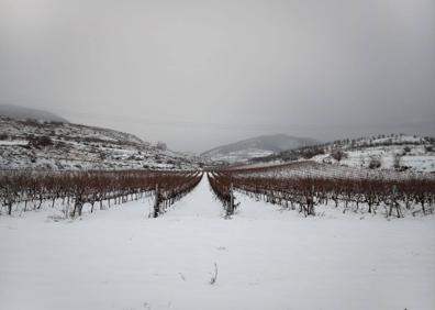 Imagen secundaria 1 - La Rioja se mantiene en alerta en pleno aviso por bajas temperaturas y nuevas nevadas