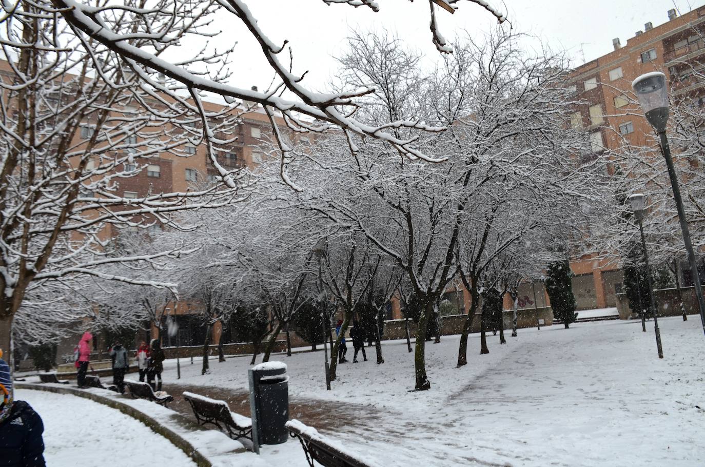 Fotos: Calahorra no se libra de Filomena