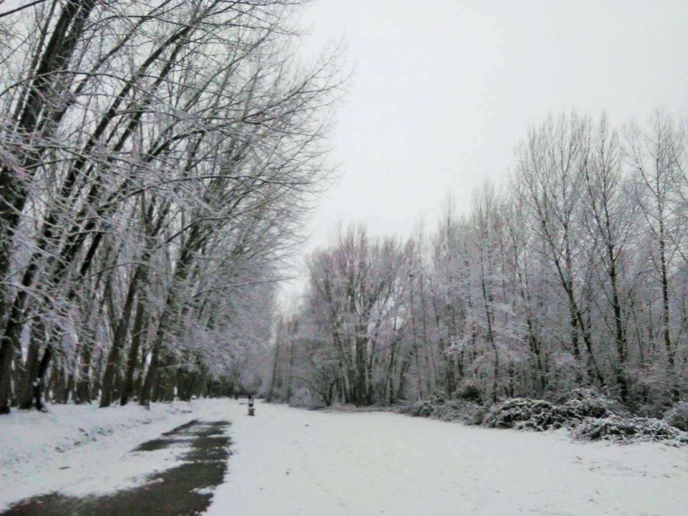 Fotos: La nieve &#039;toma&#039; el parque del Iregua