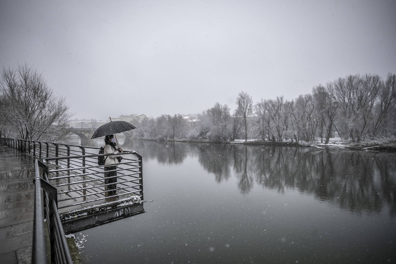 Fotos: La nieve cubre Logroño