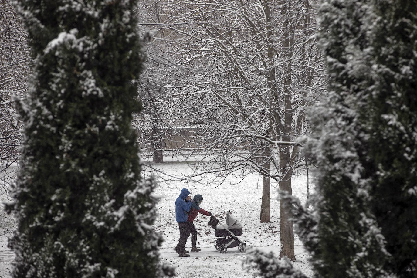 Fotos: La nieve cubre Logroño