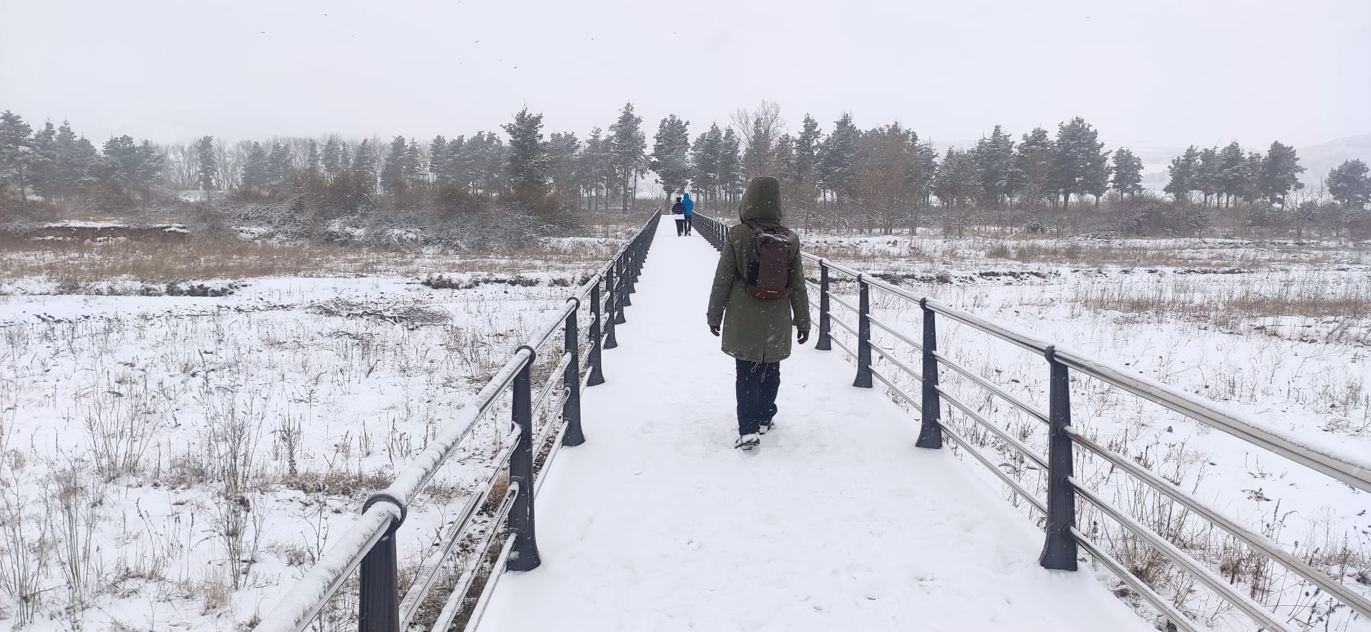 Fotos: Santo domingo se crubbre de nieve