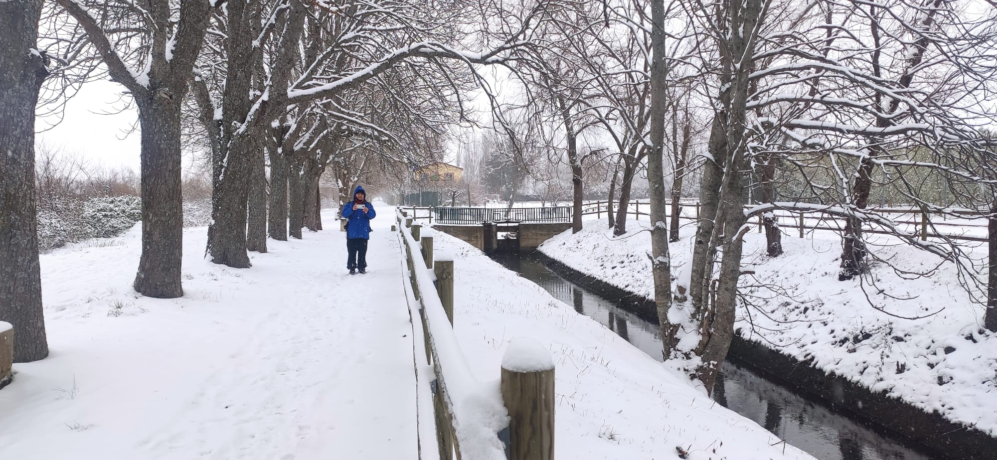 Fotos: Santo domingo se crubbre de nieve