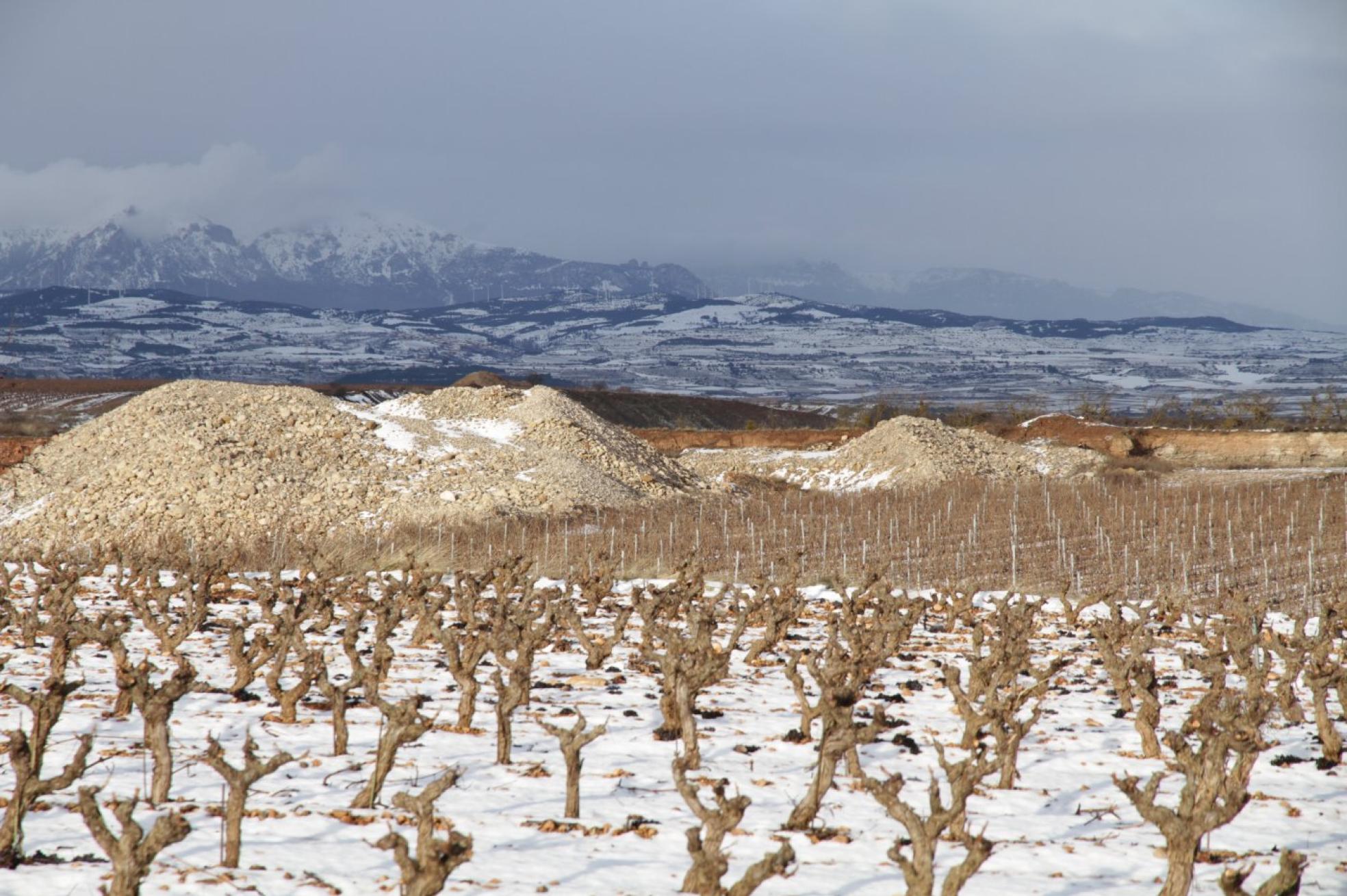 Finca La Sacristana, de Bodegas Viña Ijalba, bajo la nieve caída el pasado fin de semana. 